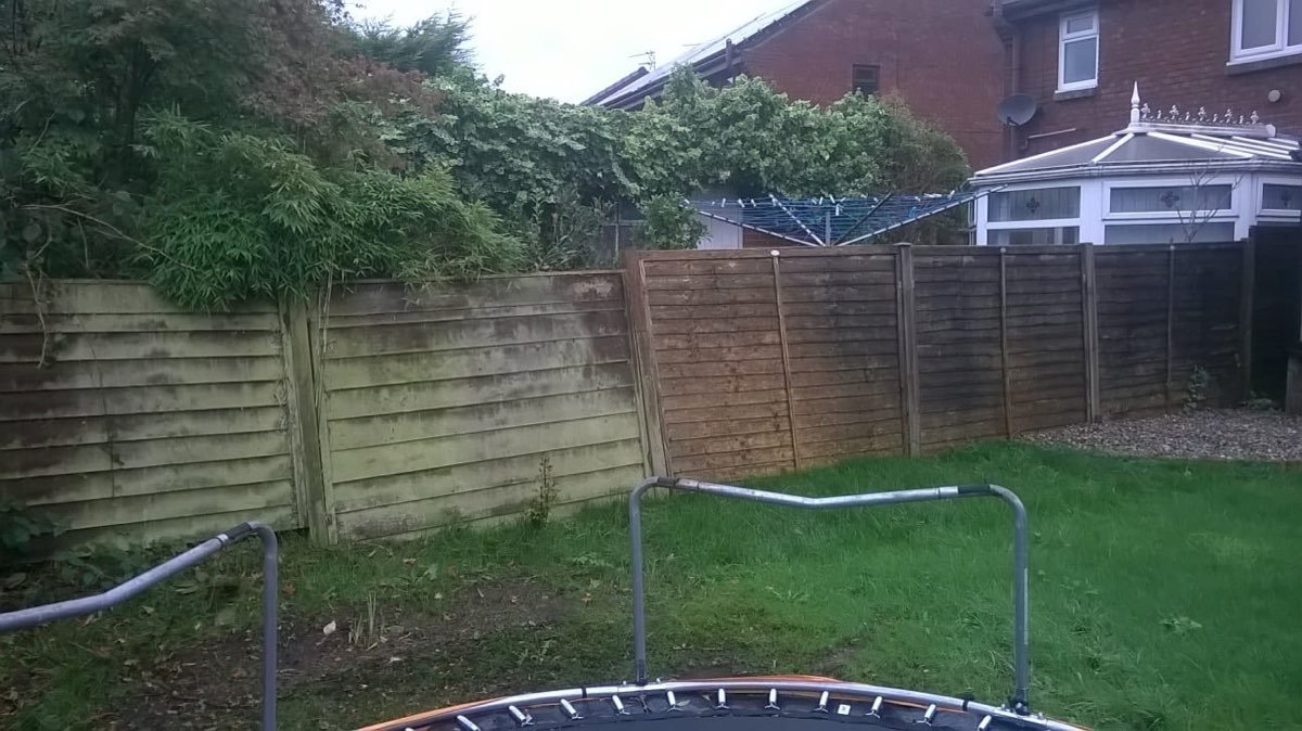 Fencing and gate installation — photo 7