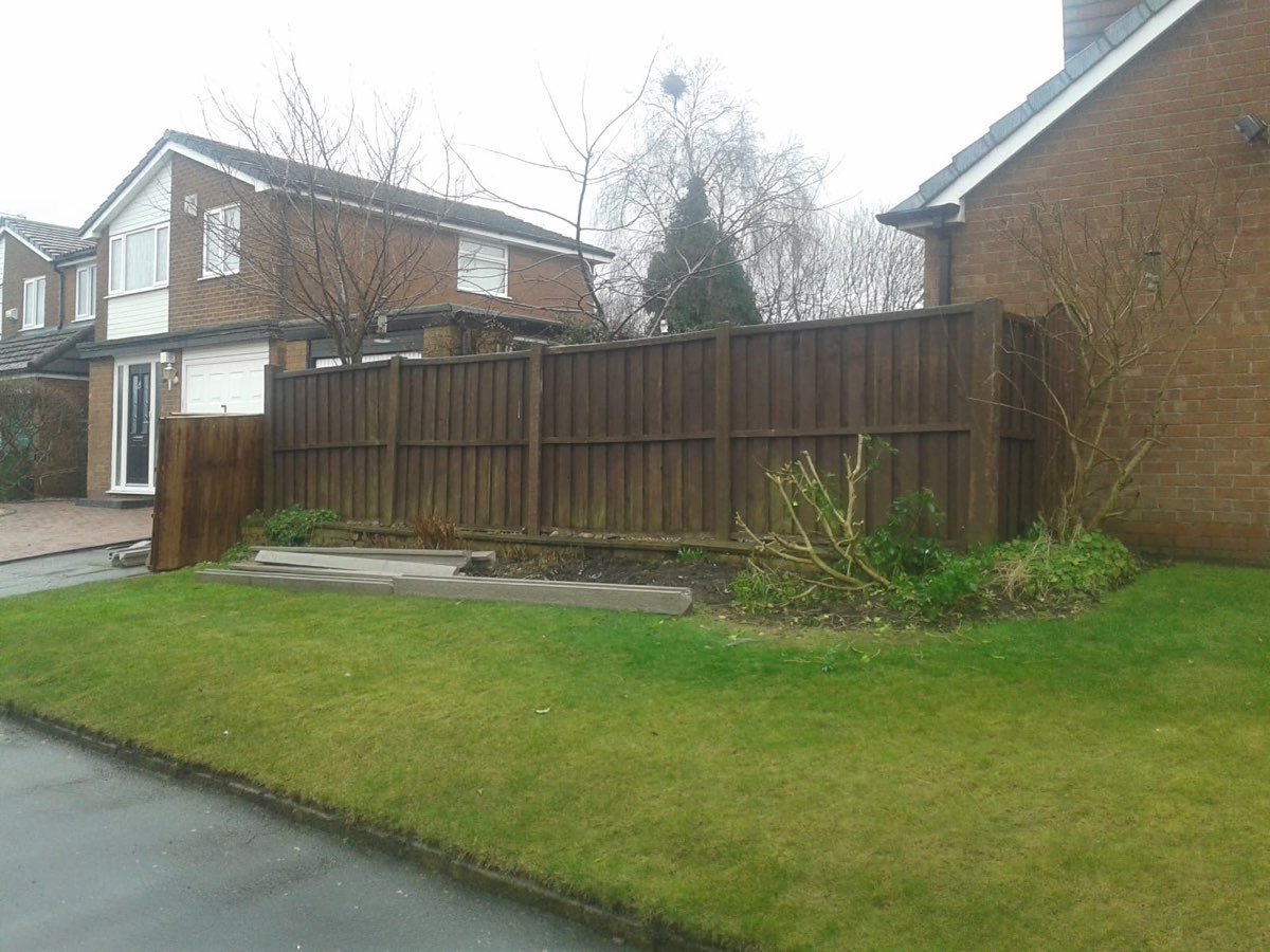 Fencing and gate installation — photo 17