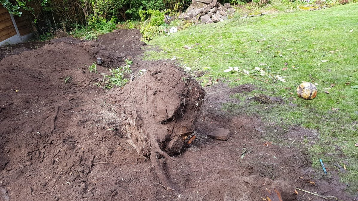 Tree stump removal — photo 3