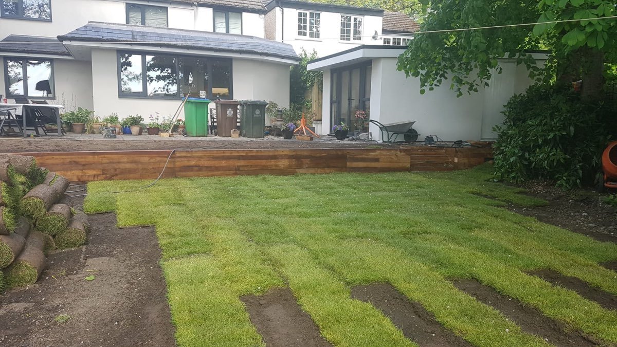 Natural turf laid in a garden — photo 4