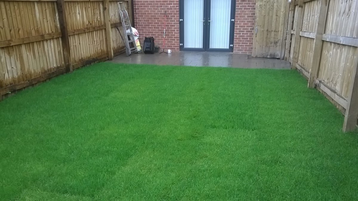 Natural turf laid in a garden — photo 5
