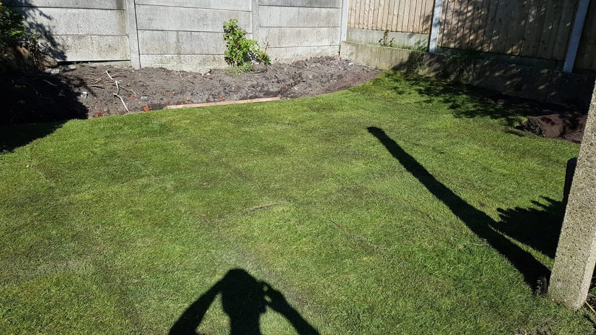 Natural turf laid in a garden — photo 6